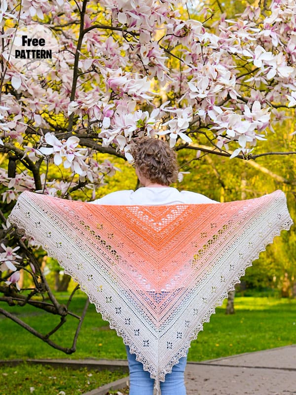 Colorful Cute Crochet Flower Shawl Pattern Free